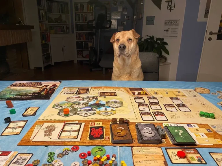 Charly beim Spielen. Charly sitzt auf einem Stuhl und schaut auf ein Spielbrett.