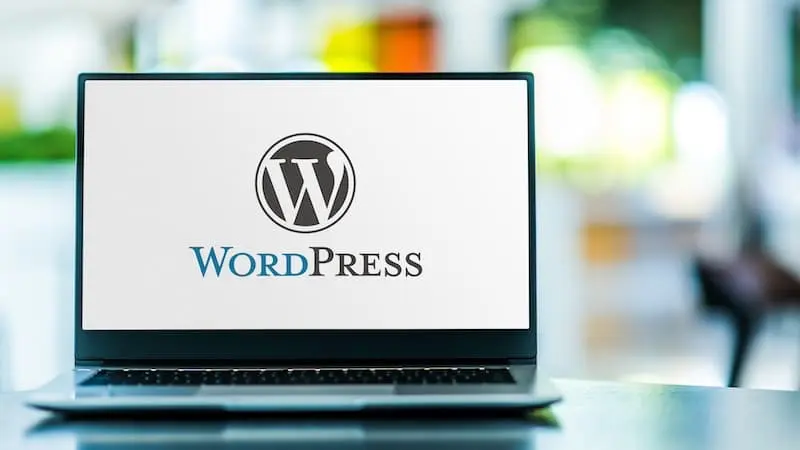 Leistungsschwerpunkt WordPress & Divi